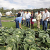 credaqee ryomzndl 2013 z17z.jpg